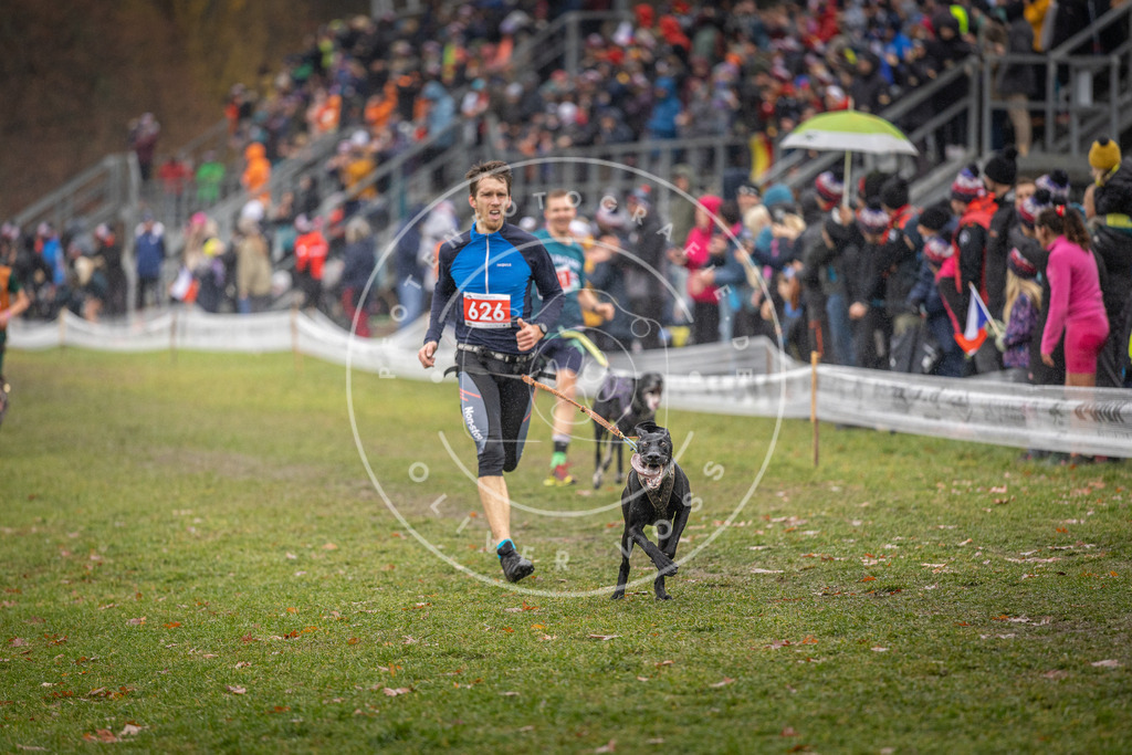 CaniXpix_DV3A9689 | Hundefotografie, Tierfotograf, Pfotenfotografie, Fotoshooting Hund, Hunde Portrait, Hundesport, Hundeportraits, Heideshooting, Hunde, Sportfotograf, Hundefotograf, Turnierhundsport, THS,  - Realisiert mit Pictrs.com