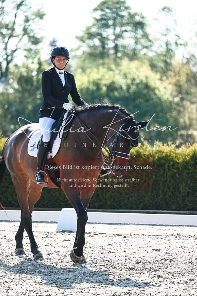 20230514_JK-Röhrsdorf-18-114 | Pferde- und Turnierfotografie in Westsachsen. Pferdeportraits, Auftragszeichnungen und intuitive Kunst.