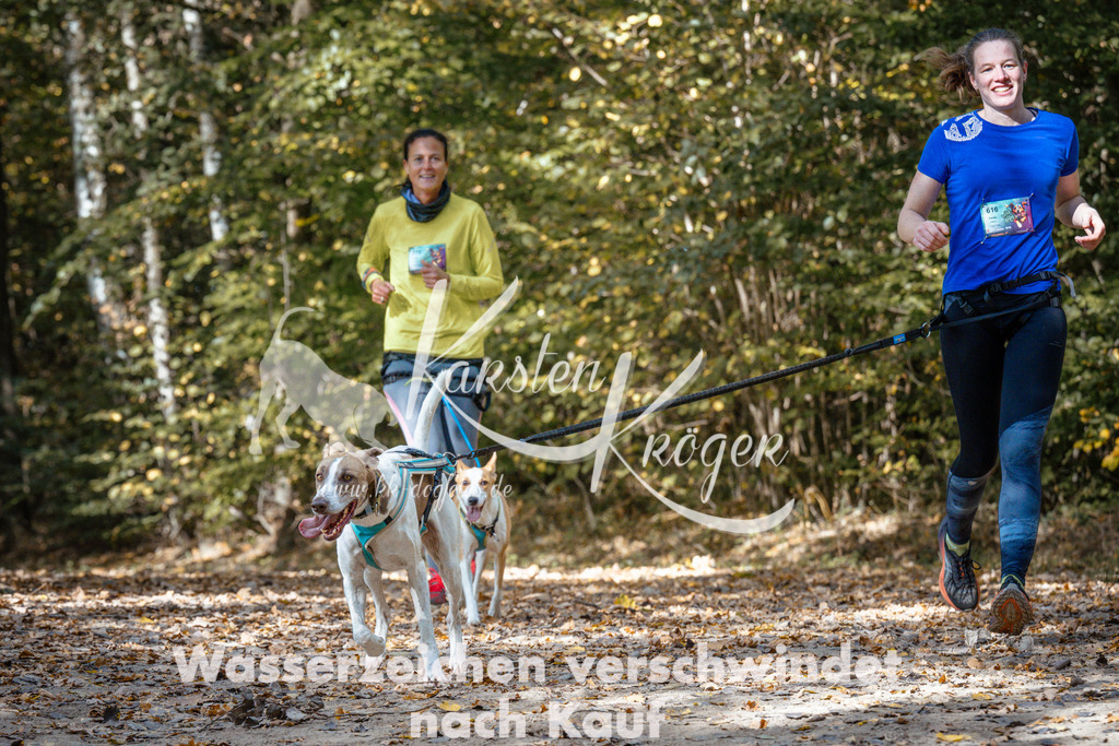 1319_ZZ97871 | kk-dogfotos