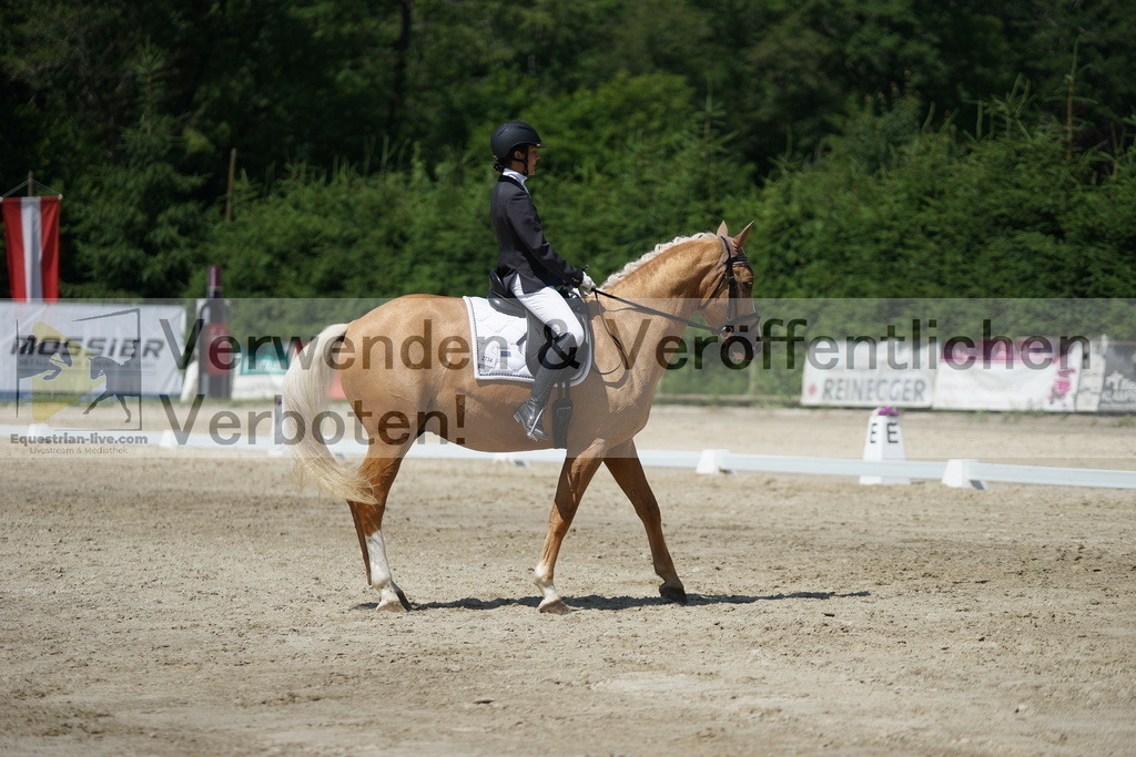 DSC01698 | equestrian-live-com