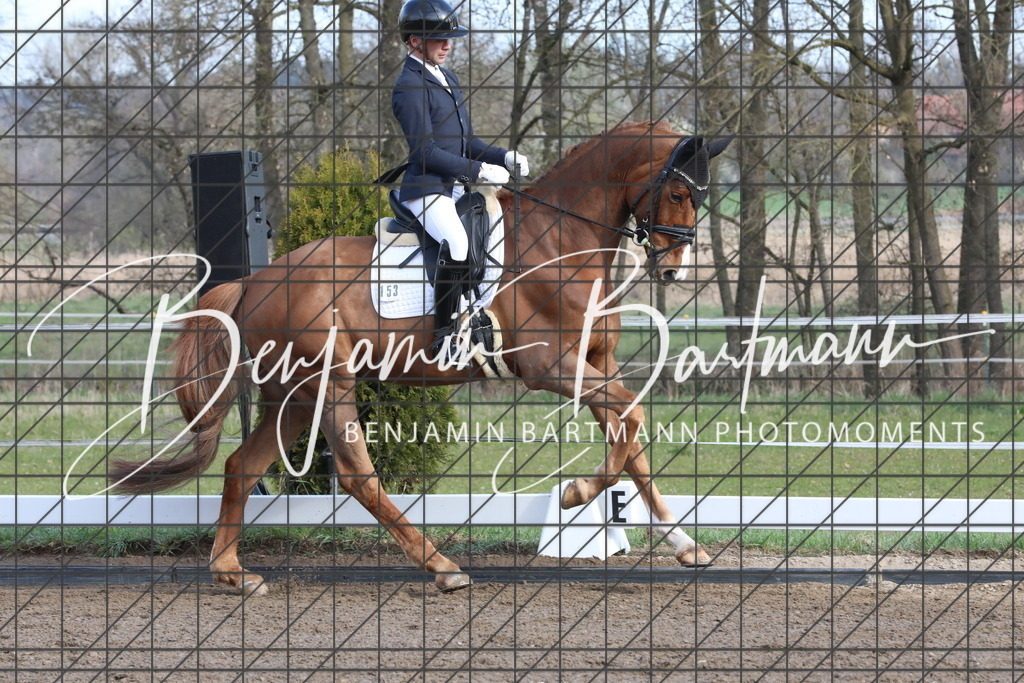 AZ2A6384 | Benjamin Bartmann Photomoments