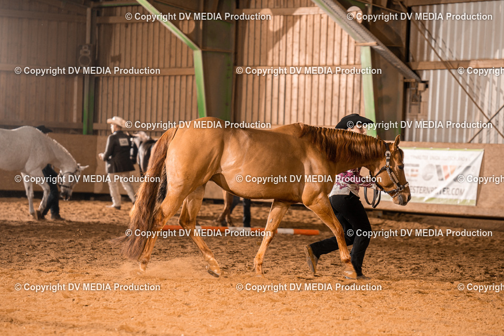 BAL01350 | dv-media-shop - Realisiert mit Pictrs.com