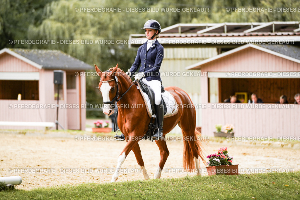 DSC08812 | Pferdegrafie