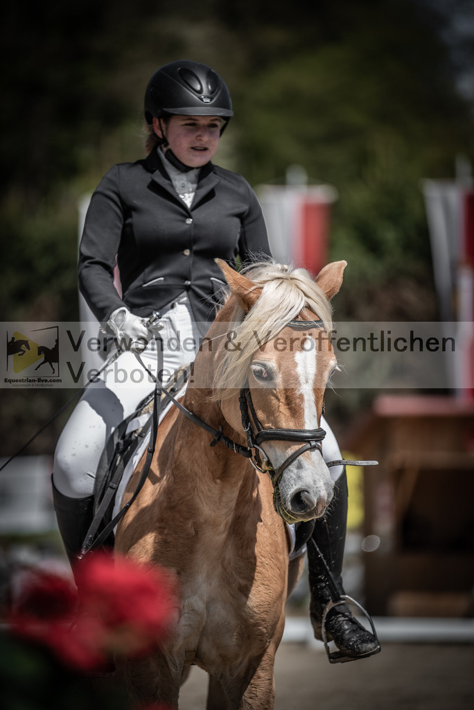 DSC_0700 | equestrian-live-com