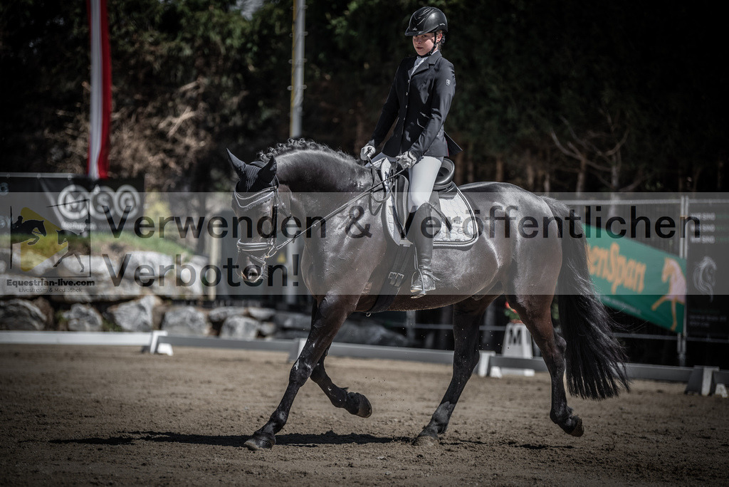 DSC_0243 | equestrian-live-com