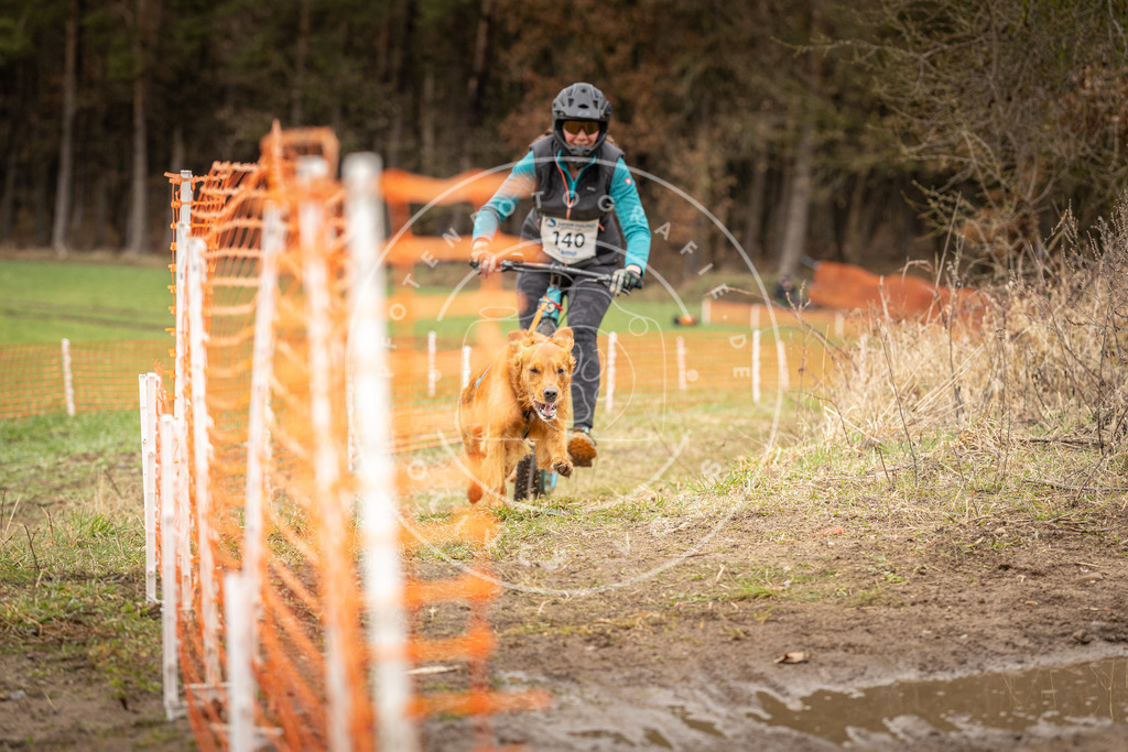 DV3A1578 | Hundefotografie, Tierfotograf, Pfotenfotografie, Fotoshooting Hund, Hunde Portrait, Hundesport, Hundeportraits, Heideshooting, Hunde, Sportfotograf, Hundefotograf, Turnierhundsport, THS,  - Realisiert mit Pictrs.com