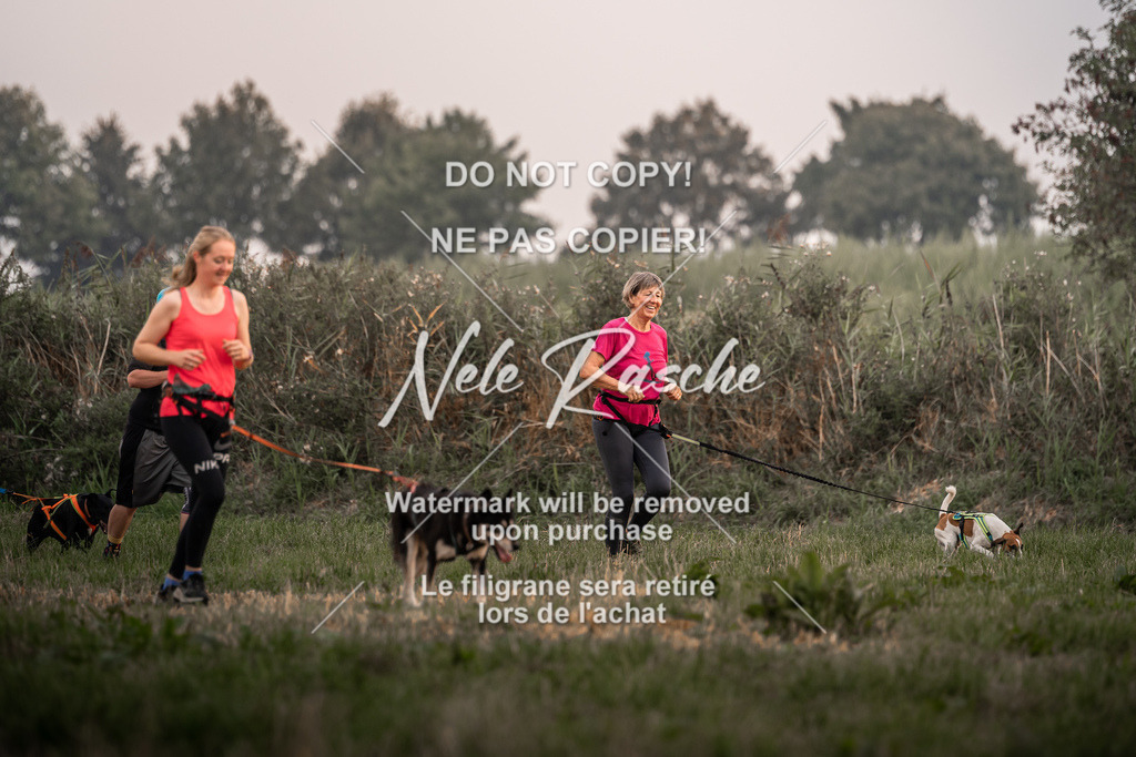 nelerasche_slaw24Fr1_10 | nelerasche