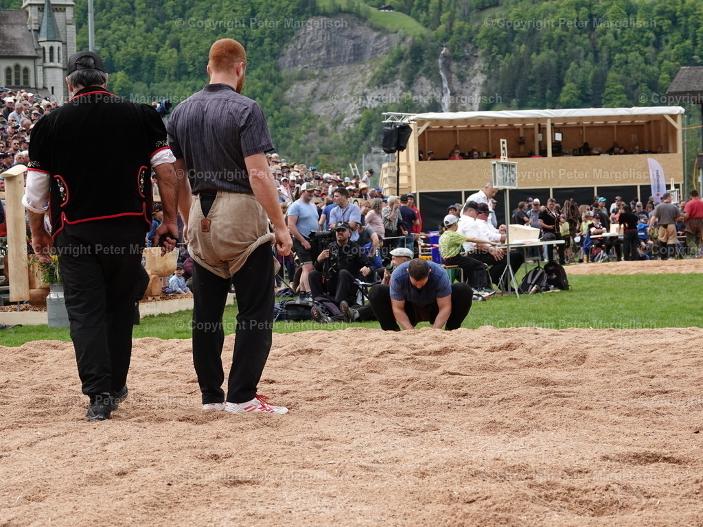 DSC07217 | Schwingen - Realisiert mit Pictrs.com