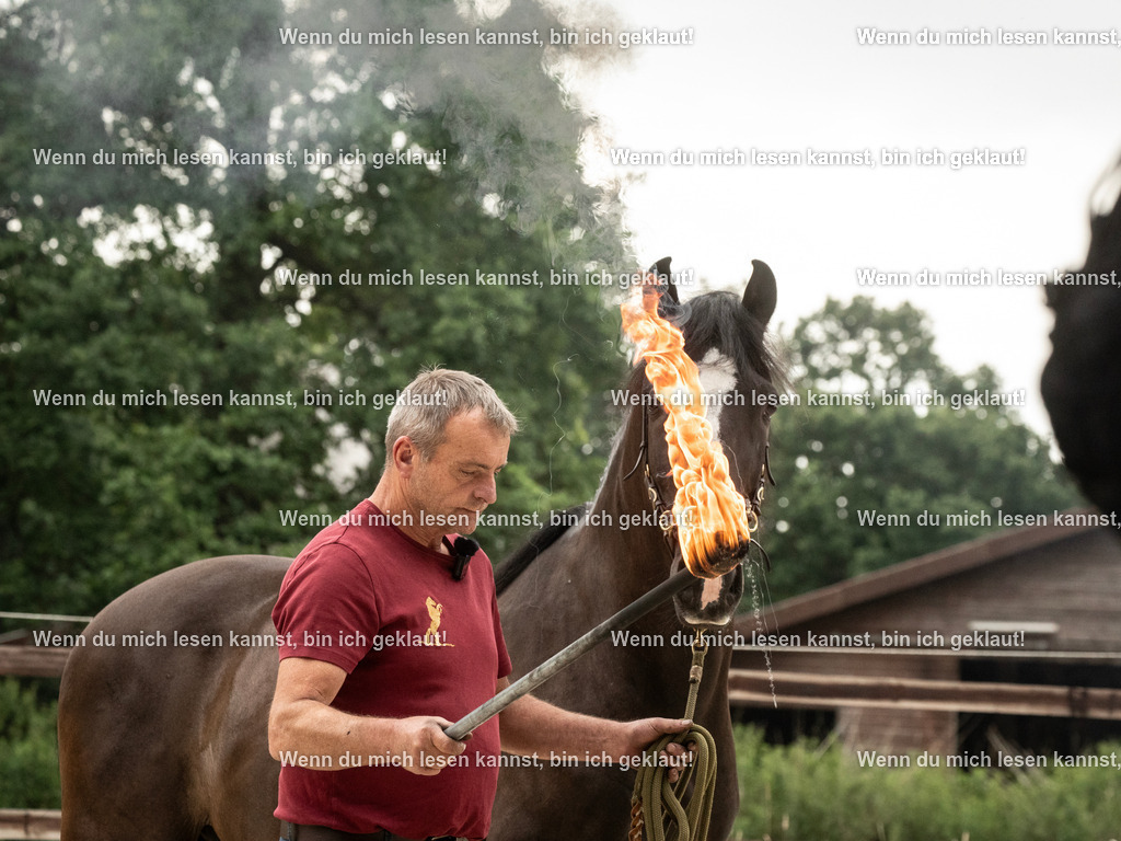 598A7476 | photographylinaismer - Realisiert mit Pictrs.com