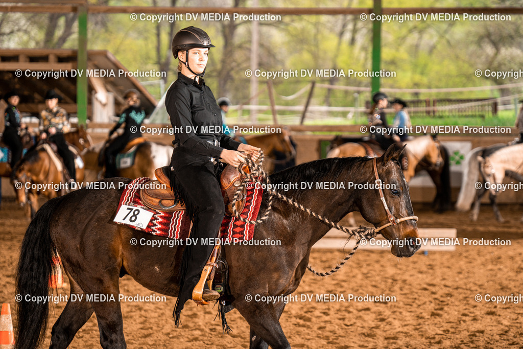 BAL00284 | dv-media-shop - Realisiert mit Pictrs.com