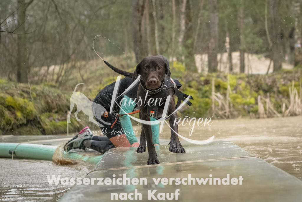 1048_ZZ93424-Bearbeitet | kk-dogfotos