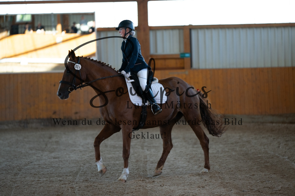 A7V01587 | Turnier/Reitfotograf