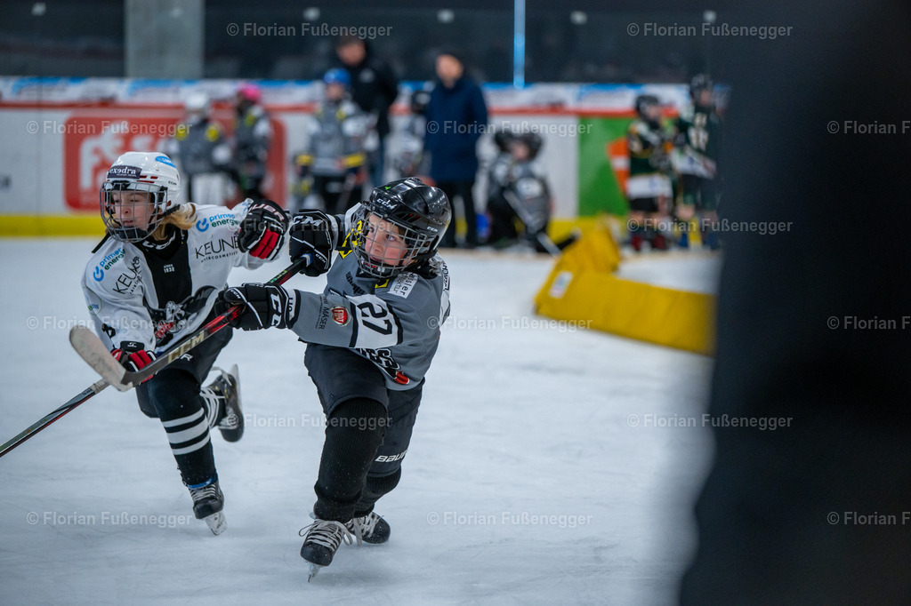 2025-03-01-Bärencup Wil-075 | "Fussifoto.com – Ihr Ansprechpartner für hochwertige Fotografie! Entdecken Sie kreative Bilder und professionelle Dienstleistungen. Kontaktieren Sie uns für Ihre Projekte!"
