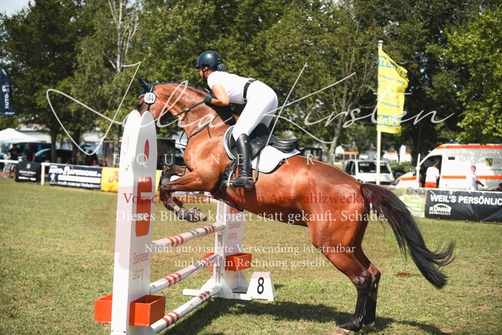 DSC_6531 | Pferde- und Turnierfotografie in Westsachsen. Pferdeportraits, Auftragszeichnungen und intuitive Kunst.