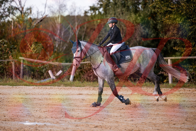 2026_10_03_Siefer-Hof_145127_Z81_30215098 | Professionelle Reitsport-, Turnier- und Eventfotografie von Robert Broda. Galerien mit ausgewählten und bearbeiteten Bildern direkt online ansehen und bestellen.