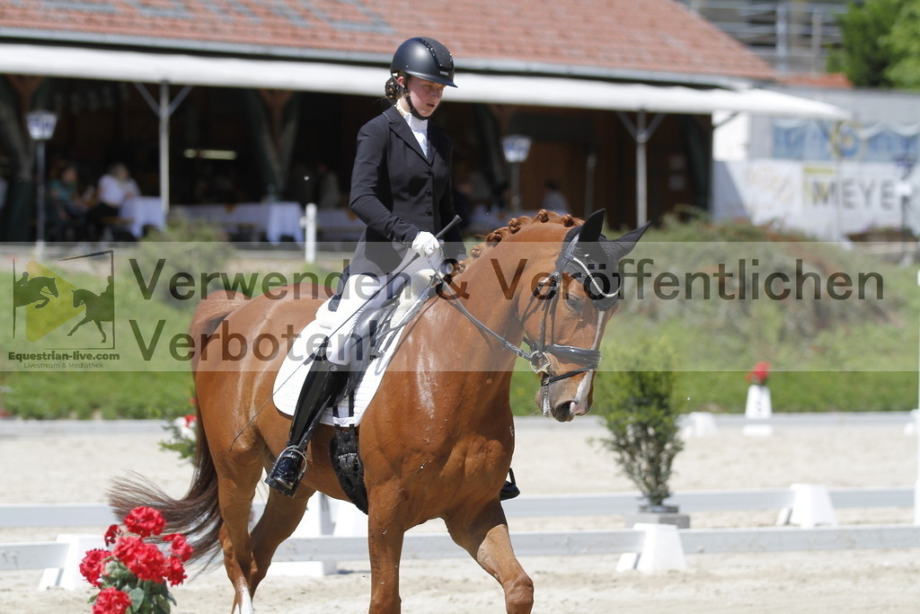 _MG_4625 | equestrian-live-com