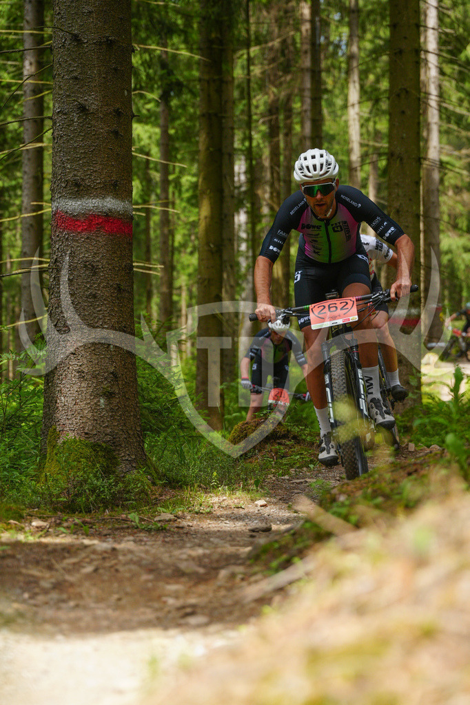 FC603667 | Fotogalerie der Treibjagd im Dunkelwald - Dein MTB Etappenrennen im Erzgebirge - Realisiert mit Pictrs.com