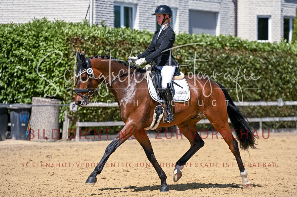 Schugtsche-Aluta25-49.Dressurpferdeprf.A-325 | Schugtsche Fotografie - Realisiert mit Pictrs.com