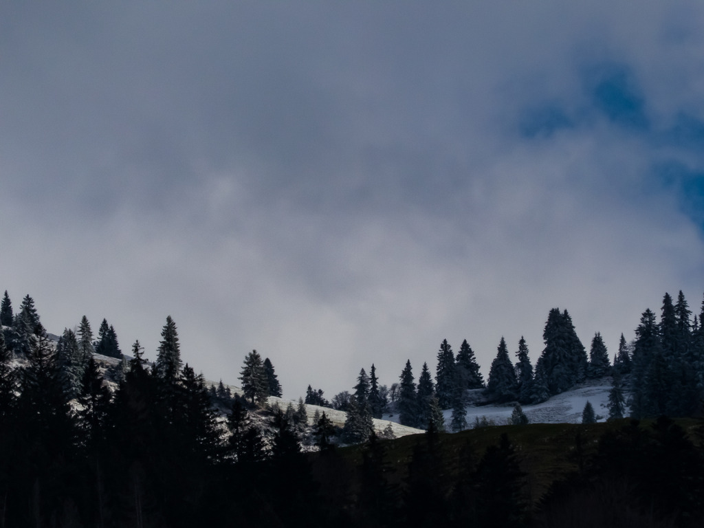 PSX_20230404_230632 | mtkfoto_ - Realisiert mit Pictrs.com