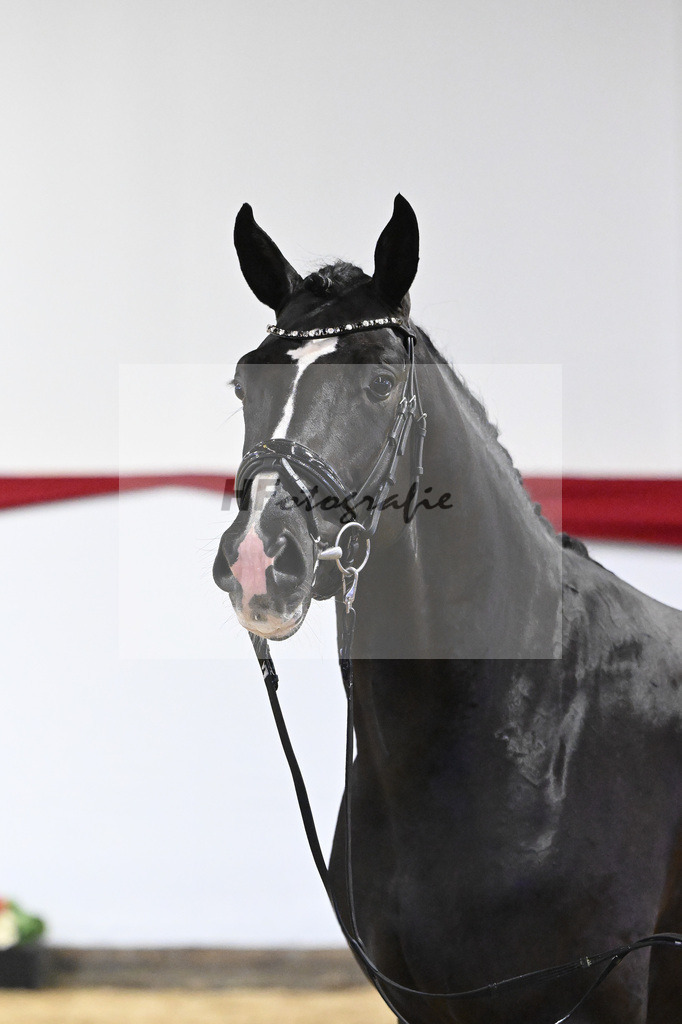 Kat-Nr. 17 v. Sezuan_Logpoint GmbH_63220494 | hf-fotografie - Realizzato con Pictrs.com