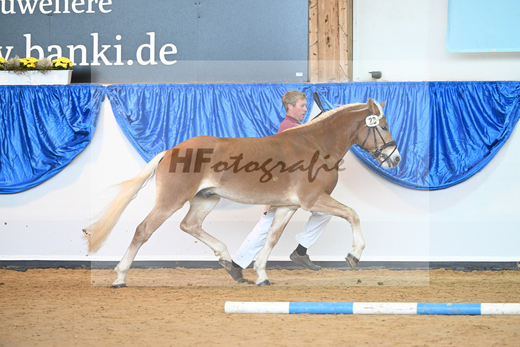 Kat-Nr. 23 Noak v. Neustart_Noack_60220778 | hf-fotografie - Realisiert mit Pictrs.com