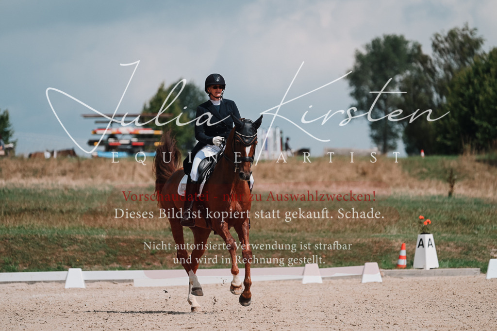 DSC_3821 | Pferde- und Turnierfotografie in Westsachsen. Pferdeportraits, Auftragszeichnungen und intuitive Kunst.