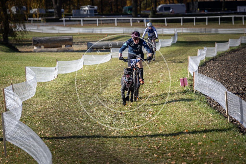 CaniXpix_DV3A6514 | Hundefotografie, Tierfotograf, Pfotenfotografie, Fotoshooting Hund, Hunde Portrait, Hundesport, Hundeportraits, Heideshooting, Hunde, Sportfotograf, Hundefotograf, Turnierhundsport, THS,  - Realisiert mit Pictrs.com