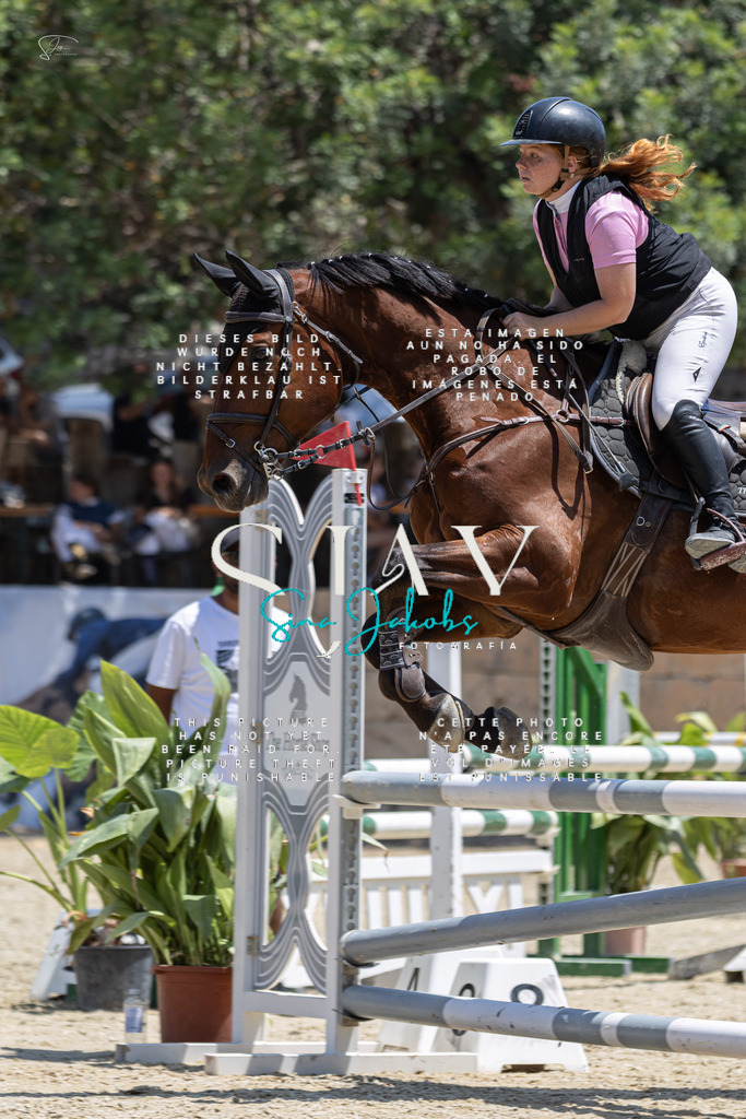 IMG_6704 | s-jay-photography - Realisiert mit Pictrs.com