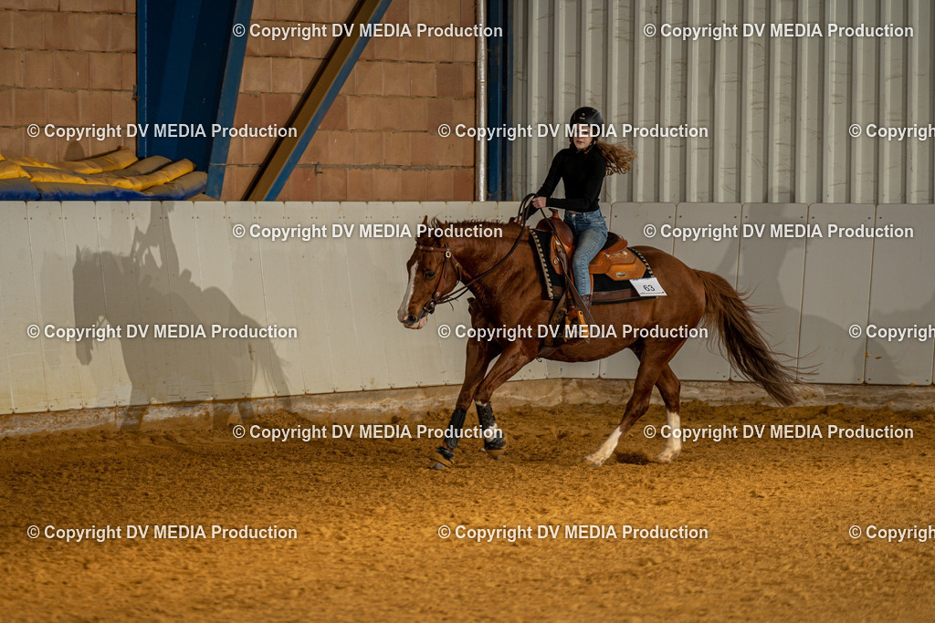 MIT00867 | dv-media-shop - Realisiert mit Pictrs.com