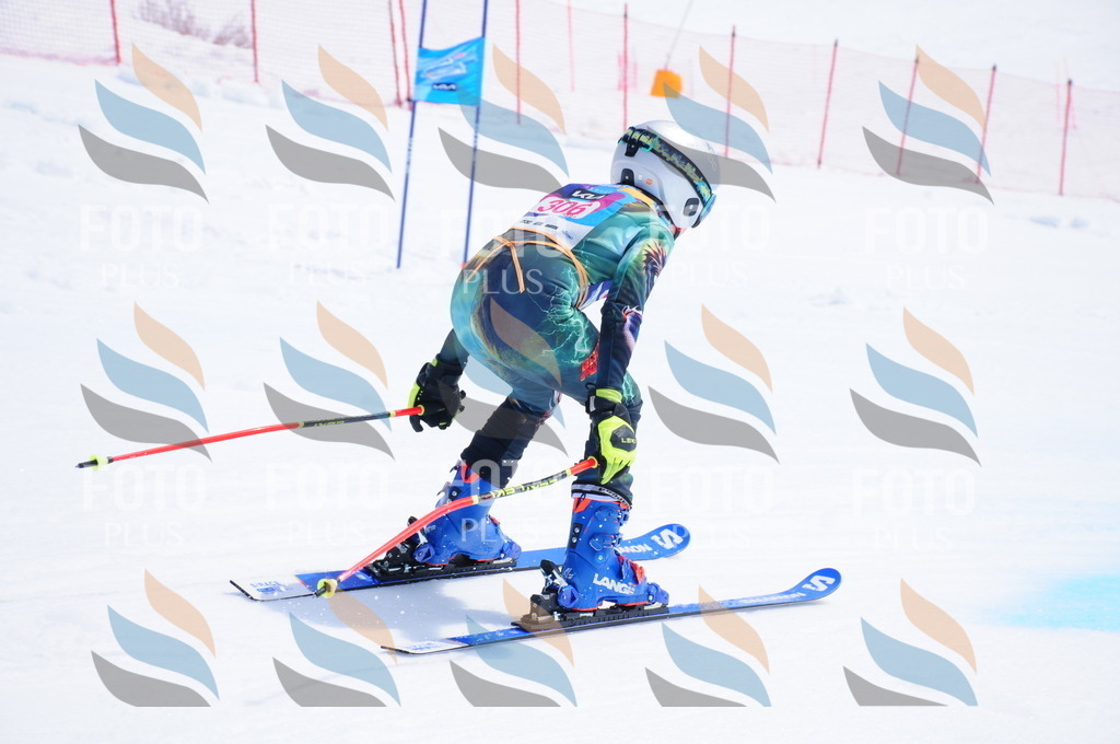 DSC_6723 | holidayphoto