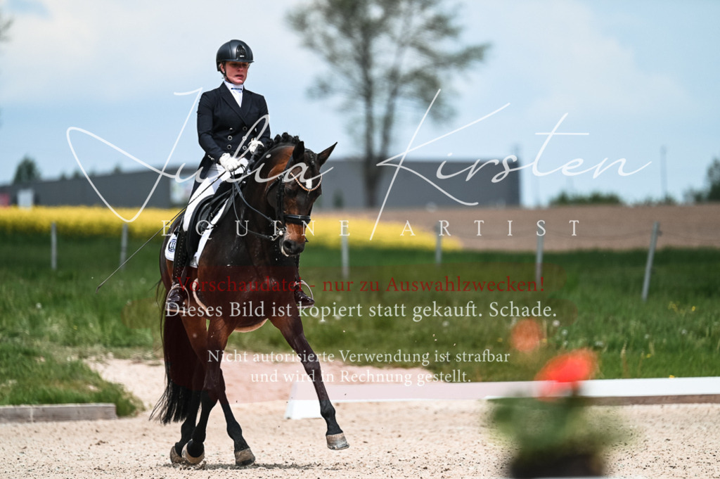 20230514_JK-Röhrsdorf-21-061 | Pferde- und Turnierfotografie in Westsachsen. Pferdeportraits, Auftragszeichnungen und intuitive Kunst.
