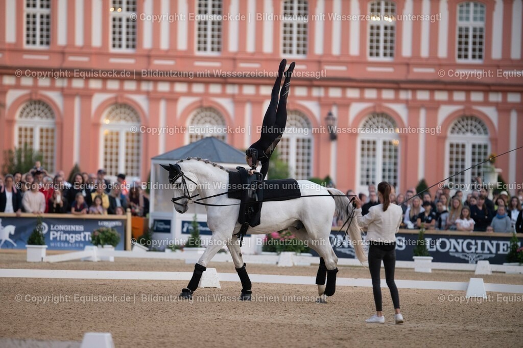 20230527_Voltigieren_NASPA_Flutlicht_0084 | equistock