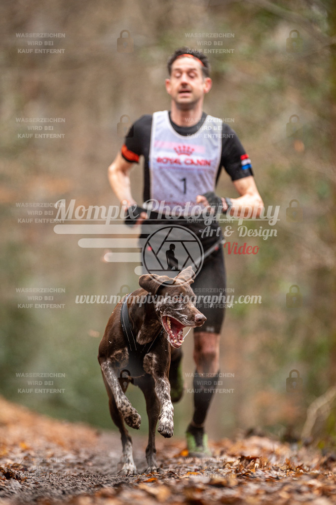 SPA_2023_DIM_CCL-3 | PayLife