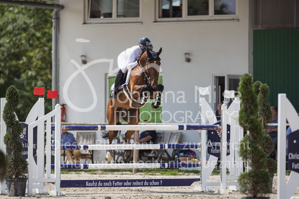 230624_PfSpTa_YoungsterM2-868 | Deine schönsten Turniermomente als professionelle Fotos! Entdecke hochwertige Pferdesport-Fotografie im Online-Shop. Jetzt Fotos finden & bestellen!