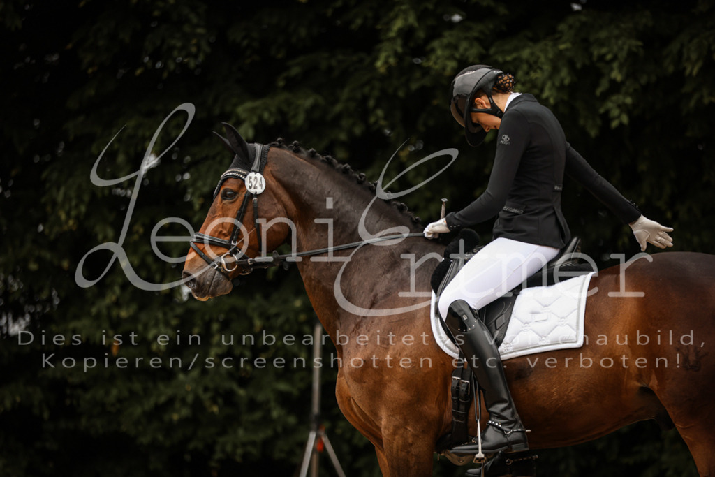 17.SoDrL00078 | Leoni Ertmer Photography - Realisiert mit Pictrs.com