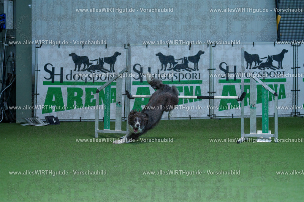 @allesWIRTHgut_Tierfotografie - www.allesWIRTHgut.de - 2604251241-7R502477 | Professionelle Tierfotografie in Mönchengladbach von Daniel Wirth (allesWIRTHgut). Liebevolle & natürliche Bilder von Hunden & Katzen für unvergessliche Erinnerungen.