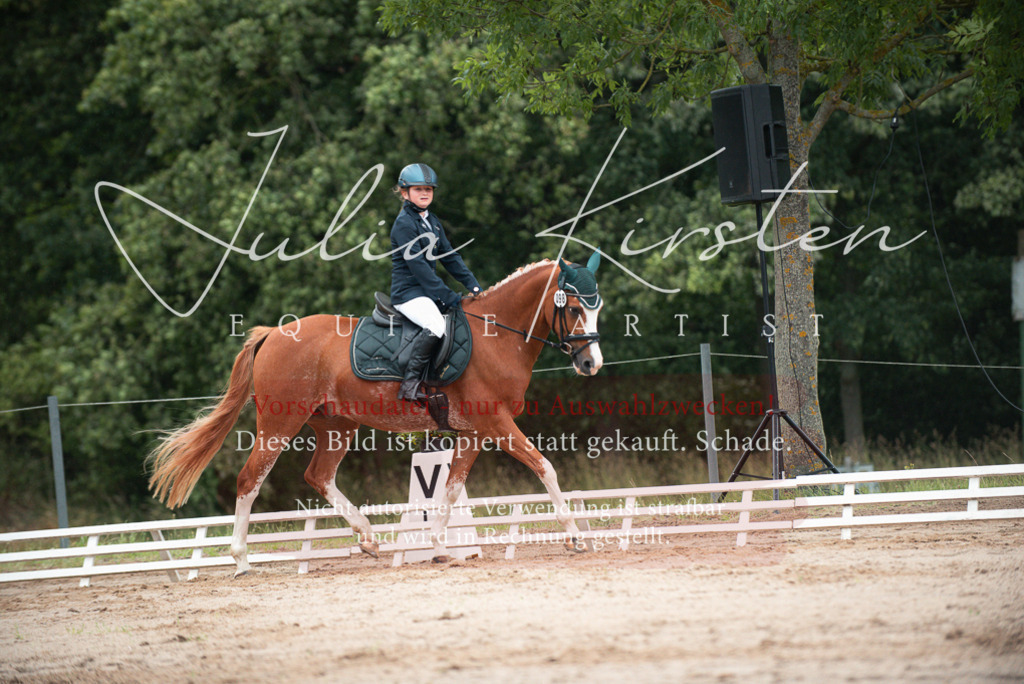 DSC_9637 | Pferde- und Turnierfotografie in Westsachsen. Pferdeportraits, Auftragszeichnungen und intuitive Kunst.