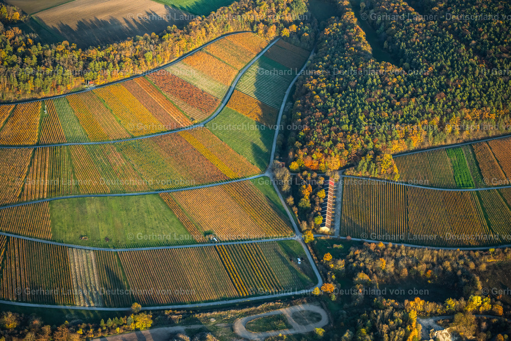 4042952 | Weinberge bei Himmelstadt, Weinlage Kelter, Benediktusberg