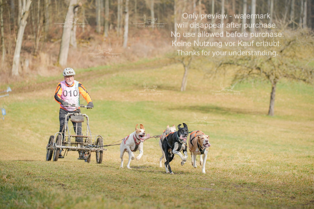 Sa_Gespanne-27 | stephaniefillaphotographie - Realisiert mit Pictrs.com