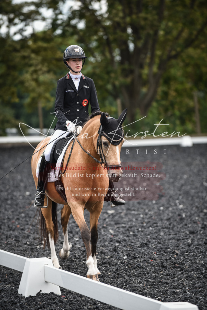 DSC_4463 | Pferde- und Turnierfotografie in Westsachsen. Pferdeportraits, Auftragszeichnungen und intuitive Kunst.