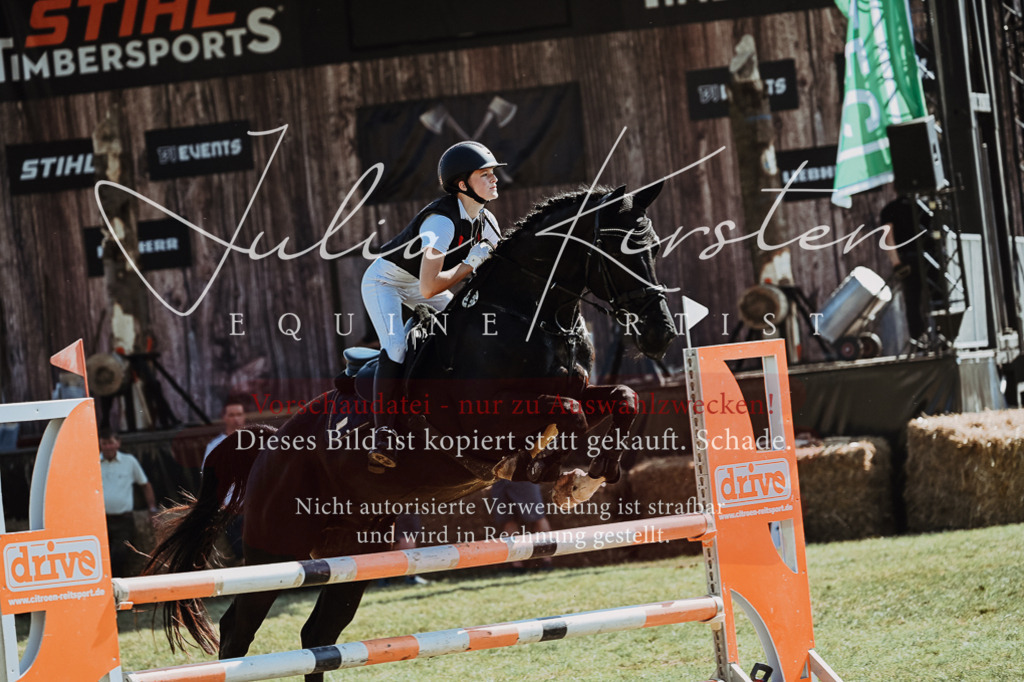 DSC_6012 | Pferde- und Turnierfotografie in Westsachsen. Pferdeportraits, Auftragszeichnungen und intuitive Kunst.