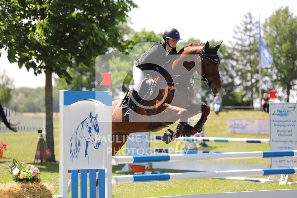 IMG_6333 | Pauline Ullmann Photography - Realisiert mit Pictrs.com