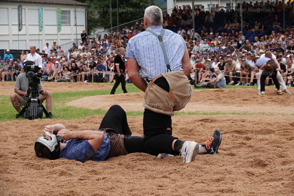 DSC01250 | Schwingen - Realisiert mit Pictrs.com