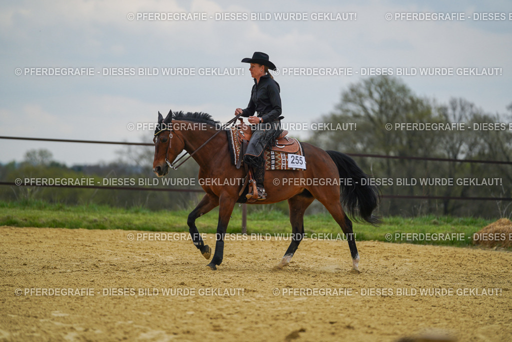 DSC07702 | Pferdegrafie