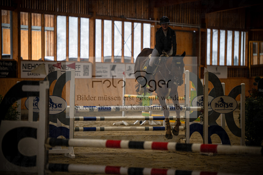 DOS_0041 | Entdecke hochwertige Reitturnierfotos von Foto Oger. Professionell, emotional und authentisch – jetzt Lieblingsmomente im Shop bestellen.Deutschlandweite Turnierfotografie. - Realisiert mit Pictrs.com