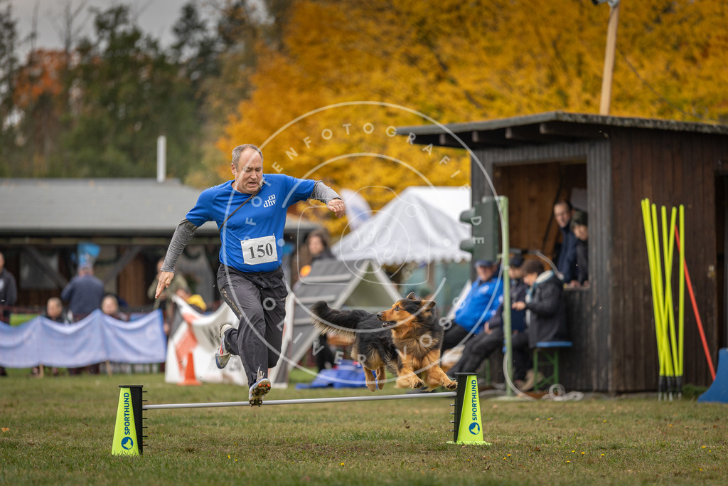 Pfotenfotografie_DV3A6187 | Hundefotografie, Tierfotograf, Pfotenfotografie, Fotoshooting Hund, Hunde Portrait, Hundesport, Hundeportraits, Heideshooting, Hunde, Sportfotograf, Hundefotograf, Turnierhundsport, THS,  - Realisiert mit Pictrs.com