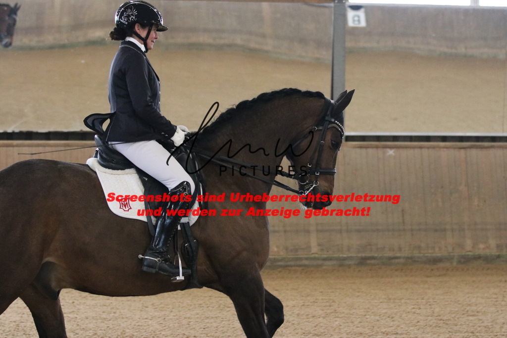 IMG_8506 | lmwpictures - Realisiert mit Pictrs.com