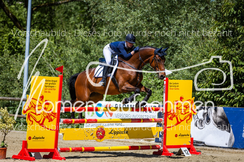 Donop24-Stil-L-065 | MomenTaufnahmen Pferdesportfotos