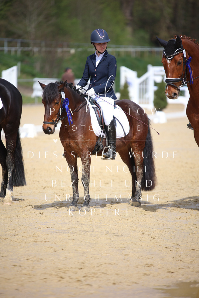 IMGT4382 | pl-fotografie