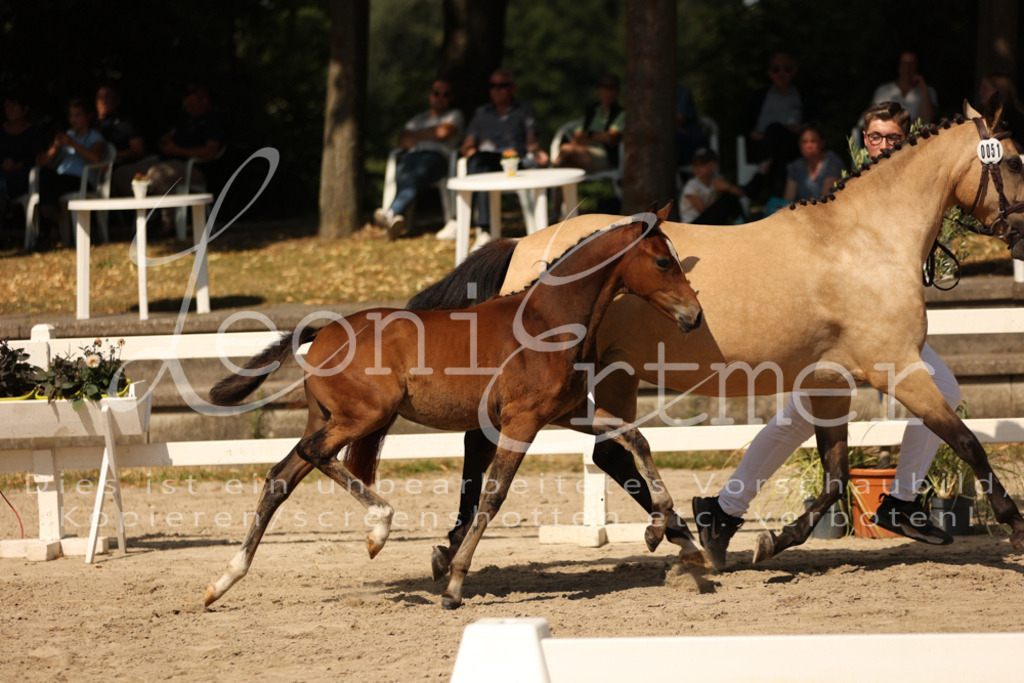 08.DoRPS00012 | Leoni Ertmer Photography - Realisiert mit Pictrs.com